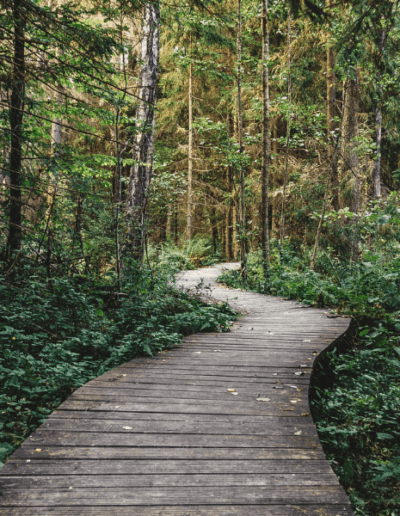 Offbeat Adventures: Travel To The Coolest Hidden Wonders In Every U.S. State