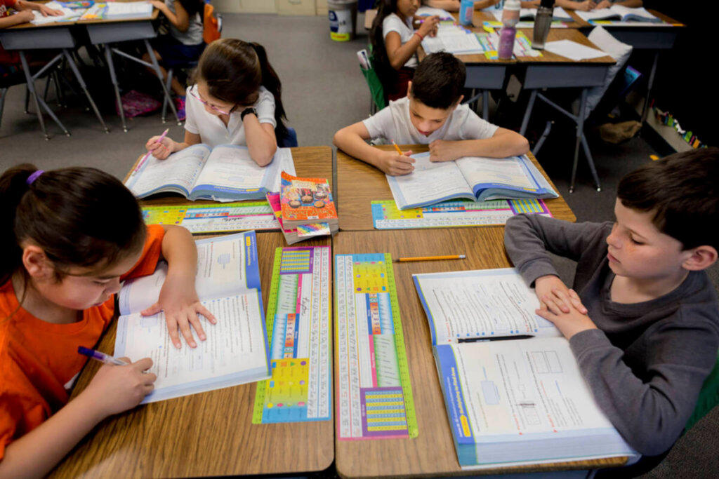 EDUCATION - The Nevadan