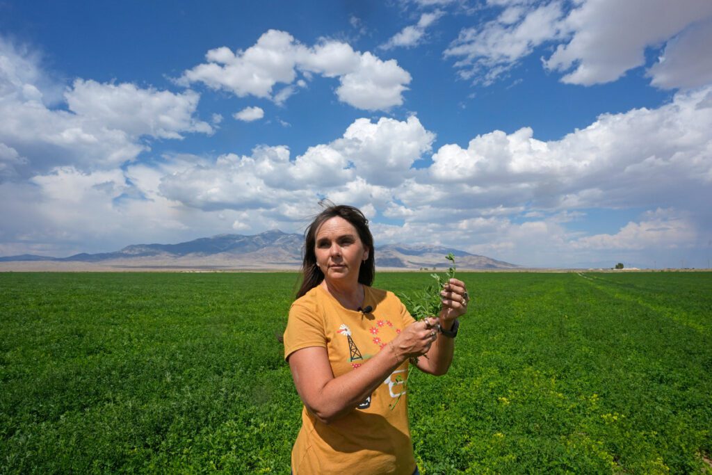 Janille Baker, Baker ranch's controller, stands in a field on the Baker Ranch Monday, Sept. 9, 2024, in Baker, Nevada. (AP Photo/Rick Bowmer)