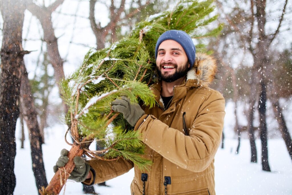 Bearded man carrying freshly cut down christmas tree in forest. Young lumberjack bears fir tree on his shoulder in the woods. Irresponsible behavior towards nature, save forest, keep green concept.