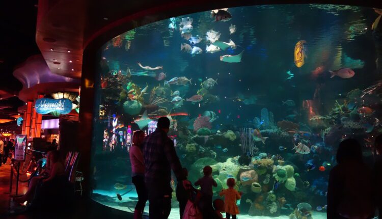 11 free & family-friendly things to do in Las Vegas